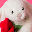 Load image into Gallery viewer, Jellycat Bashful Cream Bunny with Rose
